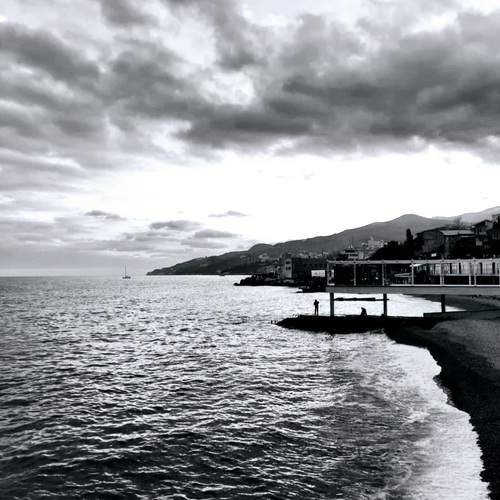 Photo #12093126