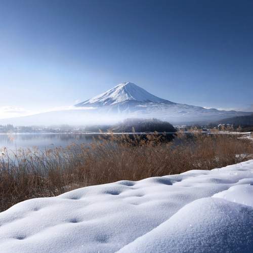 Photo #12093138