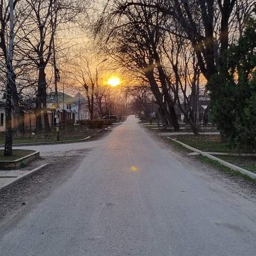 Photo #12093192
