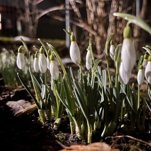 Photo #12093572