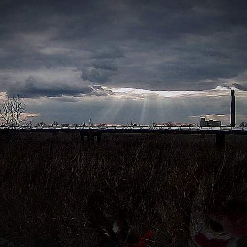 Photo #12094442