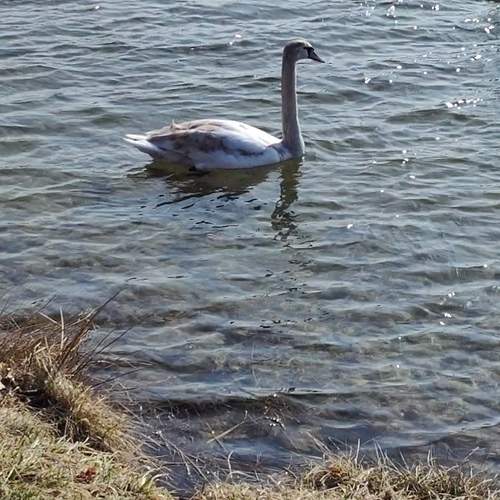 Photo #12095063