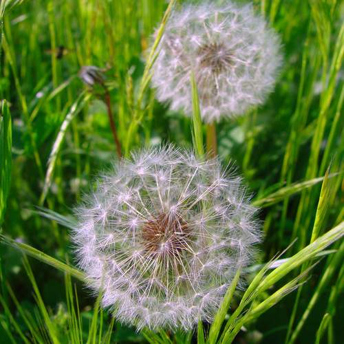 Photo #12095276