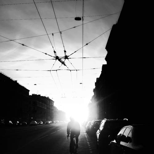 Photo #12095489
