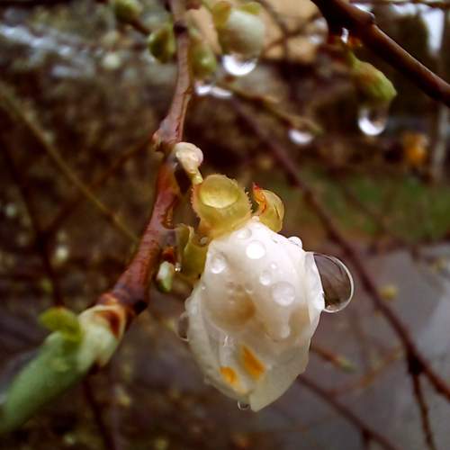 Photo #12095566