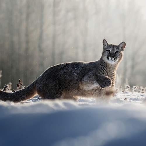 Photo #12095656