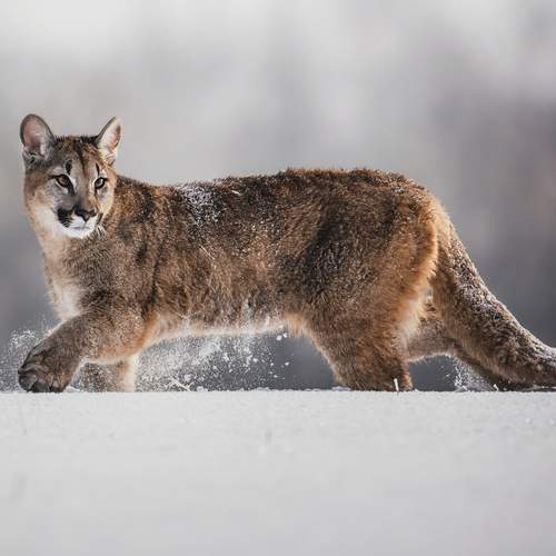 Photo #12095657