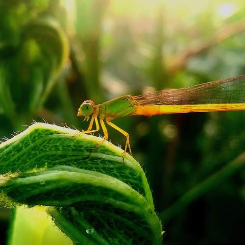 Photo #12095981