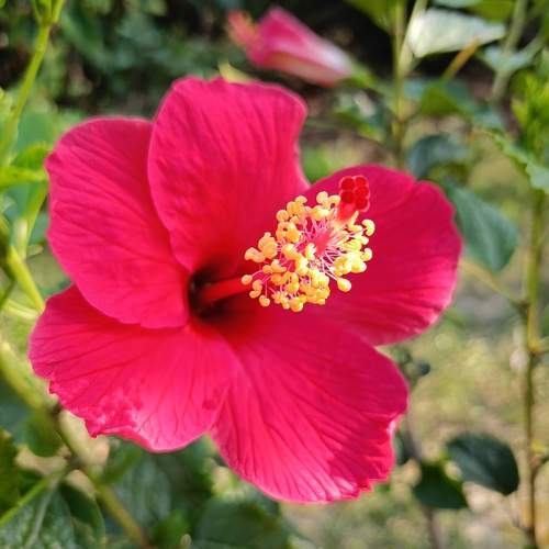 Photo #12096022