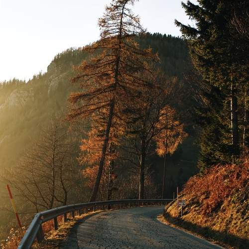 Photo #12096114