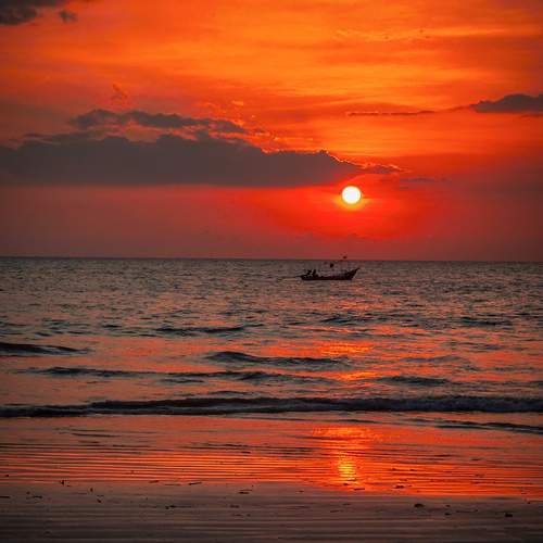 Photo #12096310