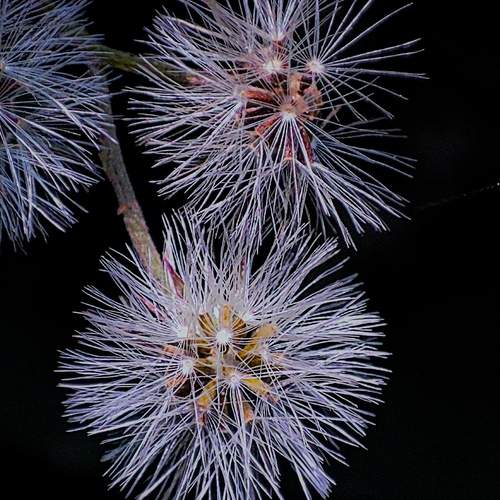 Photo #12096685