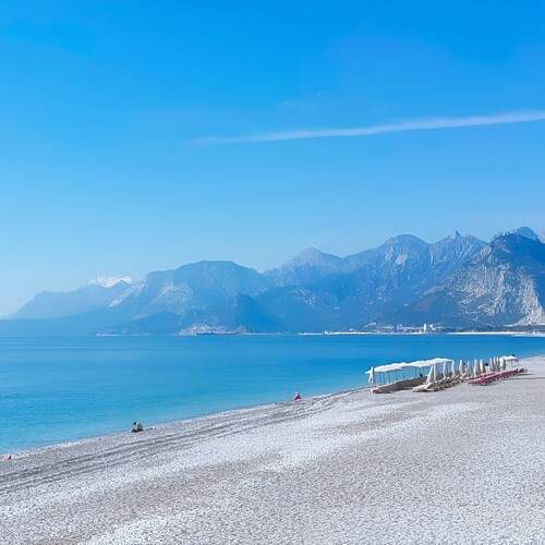 Photo #12096962