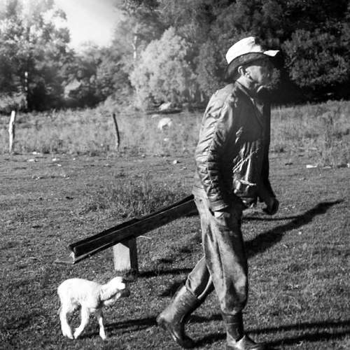Photo #12097091