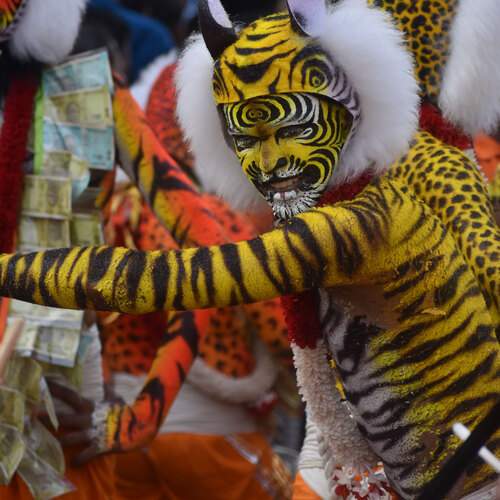 Huli vesha (Tiger dance)