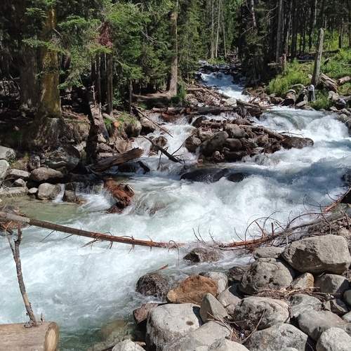 Photo #12098100