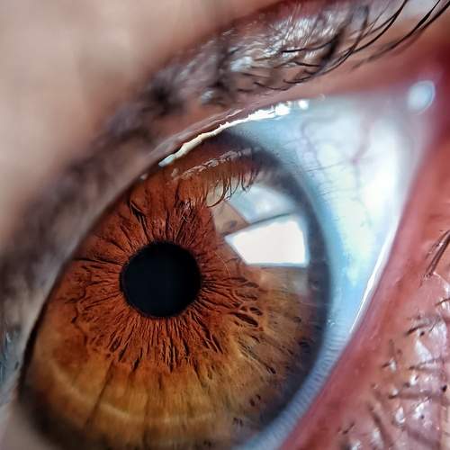 Photo #12098735