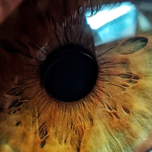Photo #12098736
