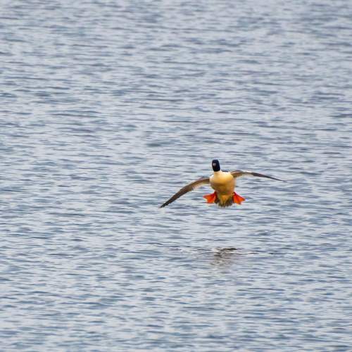 Photo #12098891