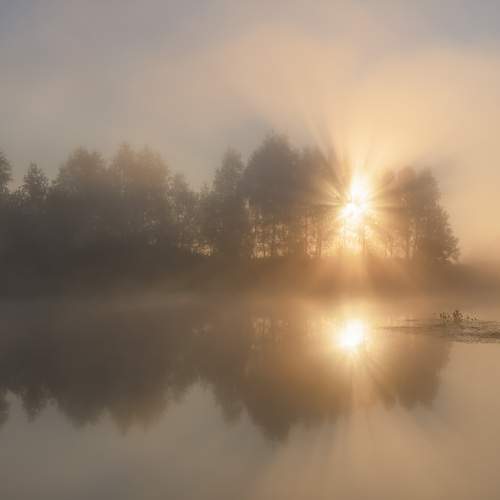 Photo #12099033
