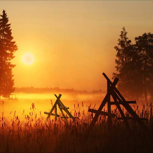 Photo #12099673