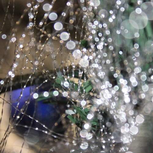 Photo #1210508