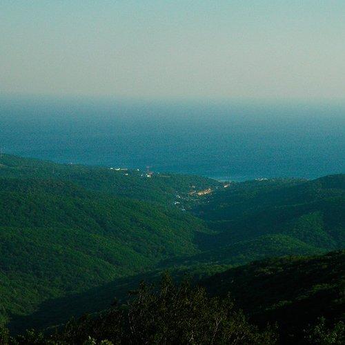 Photo #1211954