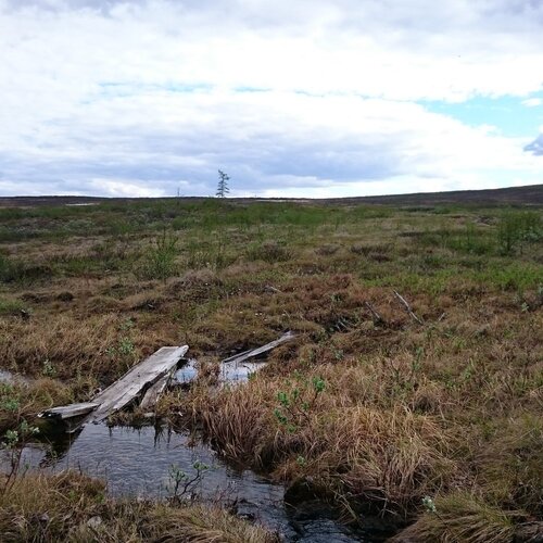 Photo #1212142