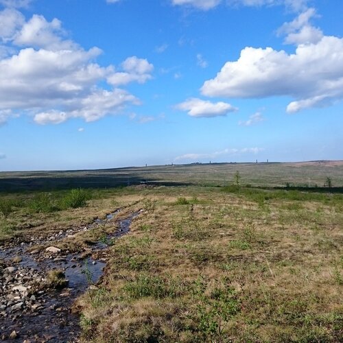 Photo #1212148