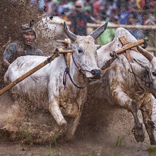 Race for Glory