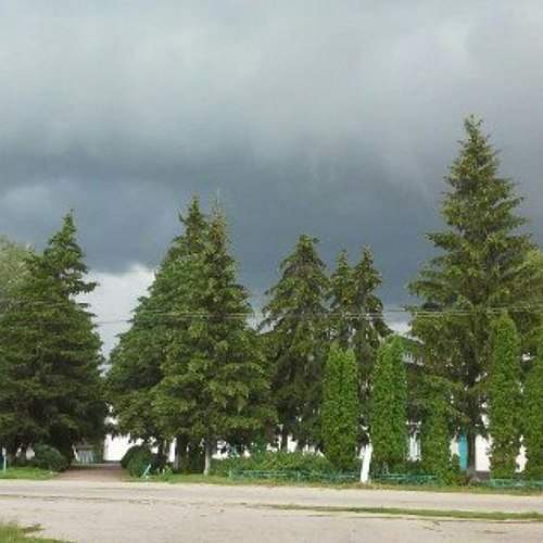 Перед июльским дождем.