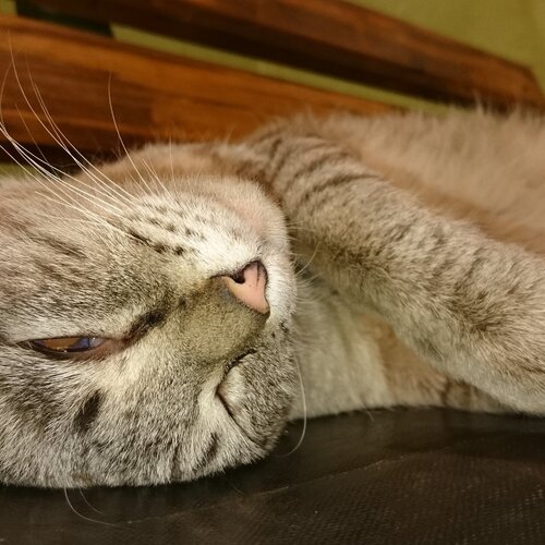 Photo #1214841