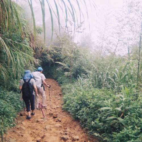 Walking in the nature