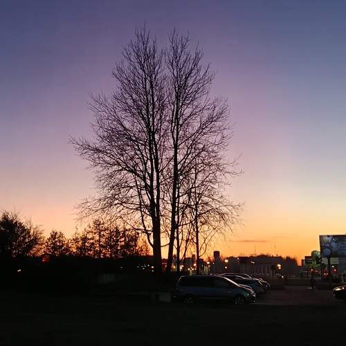 Photo #12100437