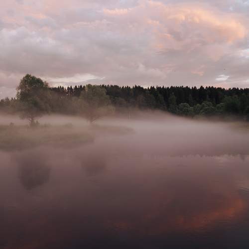 Photo #12100452