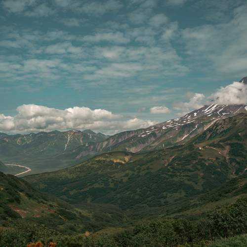 Photo #12100482