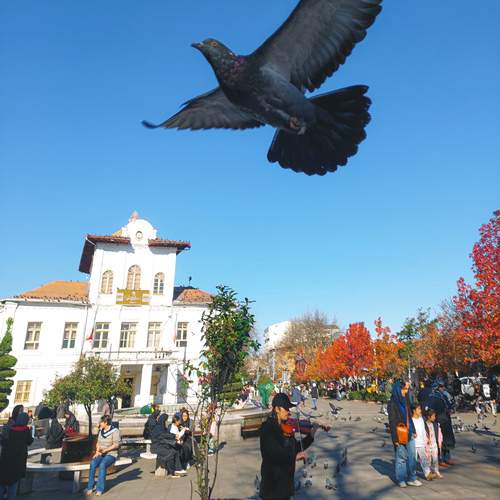 Photo #12100494