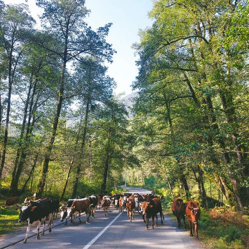 Photo #12100495