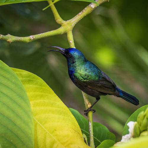 Фотография #12100578