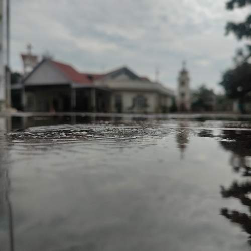 Photo #12101390