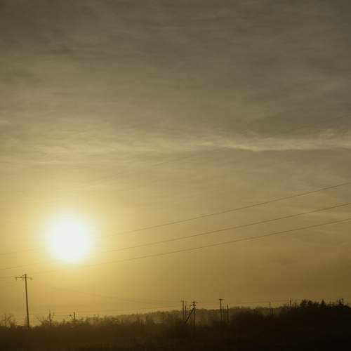 Photo #12101561