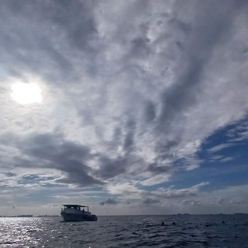Photo #12101792