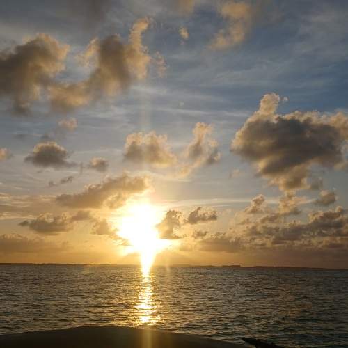 Photo #12101796