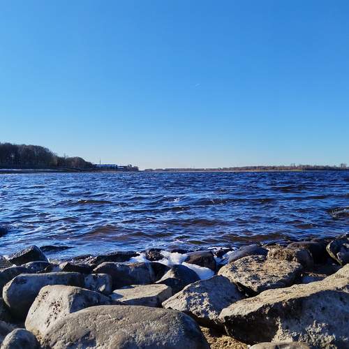 Photo #12101819