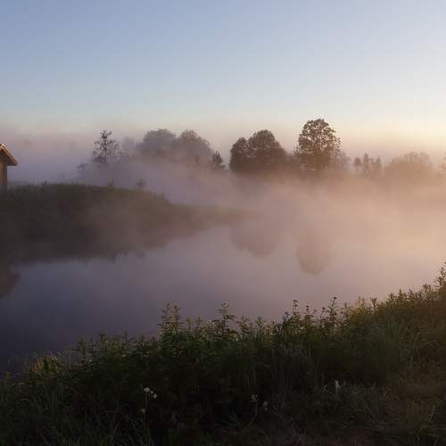 Photo #12101995