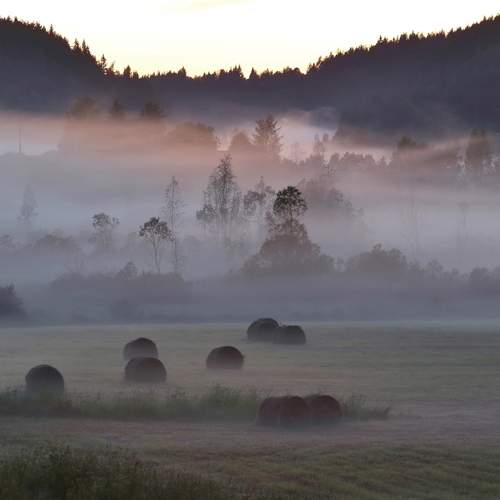 Photo #12101997