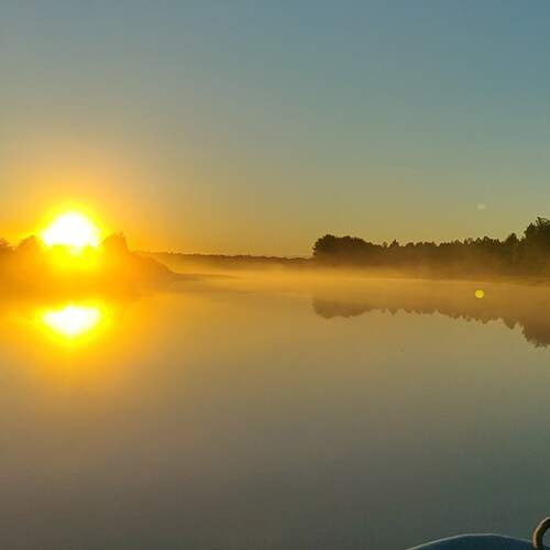 Photo #12102001