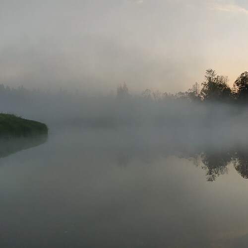 Photo #12102004