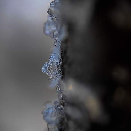 Photo #12102438