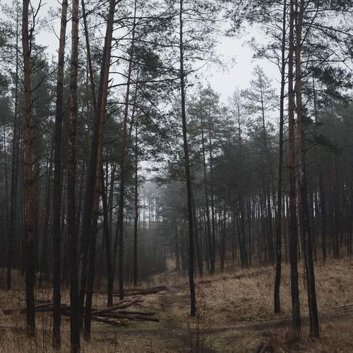 Photo #12103160